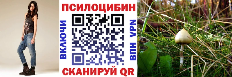 хочу наркоту  Домодедово  ссылка на мегу сайт  Галлюциногенные грибы Psilocybe 